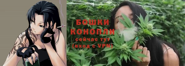 крисы Пересвет