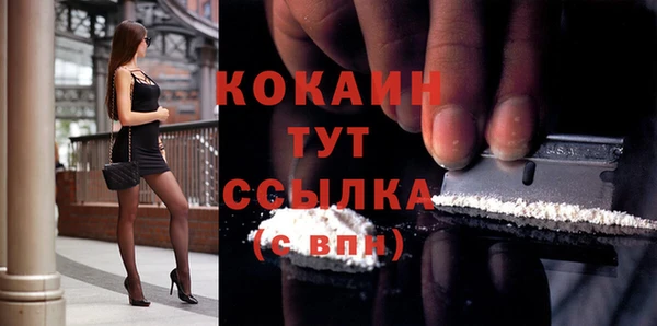 крисы Пересвет