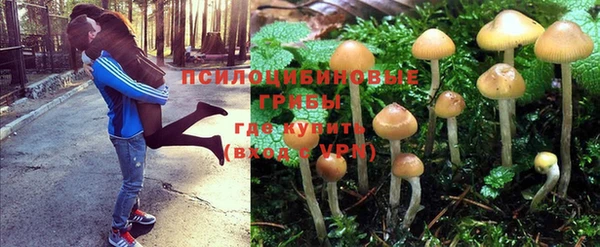 стафф Беломорск