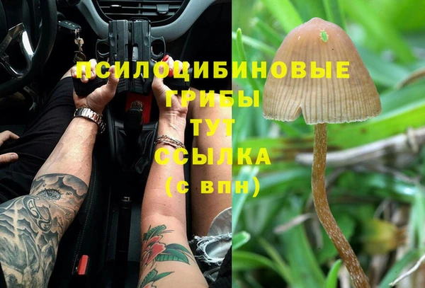 прущая мука Белоозёрский