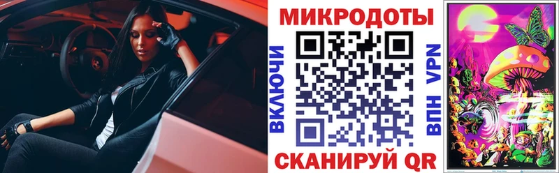Галлюциногенные грибы Psilocybe  Чухлома 