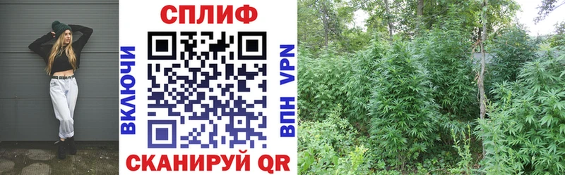 Конопля OG Kush  как найти наркотики  Чухлома 